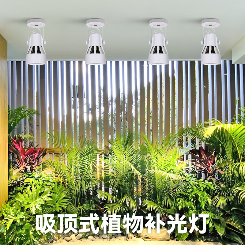 光联天下全光谱植物补光灯室内客厅阳台热植盆景绿植生长灯吸顶款,淘宝优惠券,粉丝福利购,淘宝优惠卷
