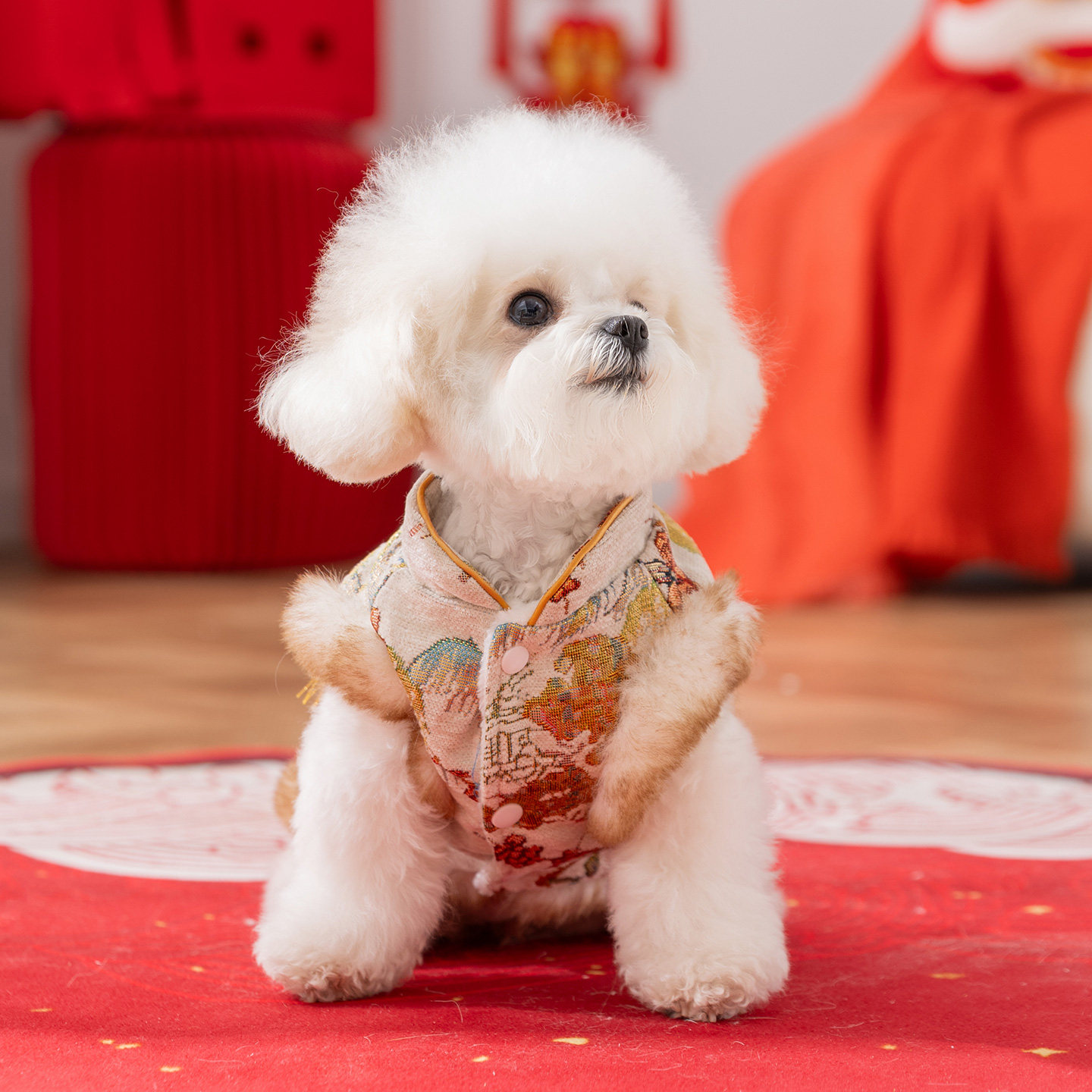 狗狗衣服新年福气马甲加厚保暖比熊泰迪小型犬秋冬天喜庆宠物唐装,淘宝优惠券,粉丝福利购,淘宝优惠卷