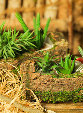 树根可挂式长方形原生态风摆件