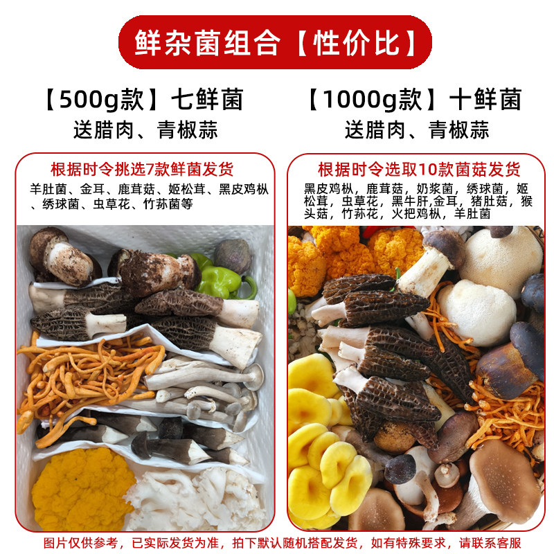 套餐云南菌子火锅食材新鲜菌菇拼盘牛肝菌云南野生菌鲜蘑菇组合包