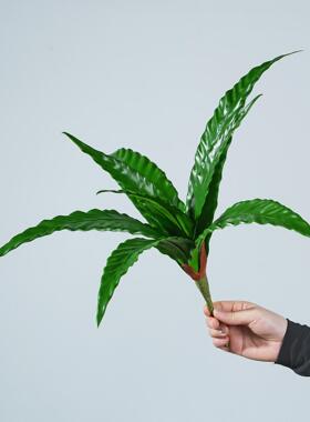 仿真叶材鸟巢蕨蕨类凤巢叶绿植软装地插插花装饰盆栽摆件人造植物