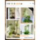 Sentai simulated green plants for indoor under-stairs decoration