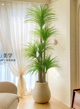 【新品来袭】3D仿生绿植龙血树