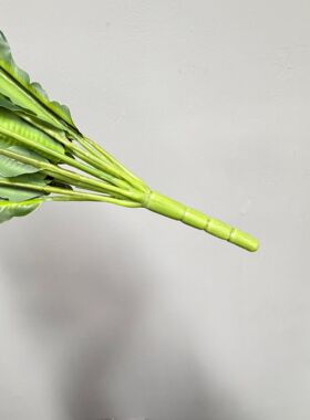 仿真绿植鸟巢蕨波斯叶微景观造景花坛软装地插植物墙配材家居装饰