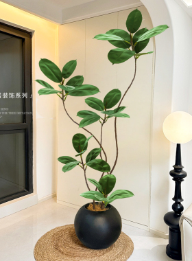 橡皮树仿真绿植假植物客厅轻奢仿生黑金刚装饰树室内大型落地摆件