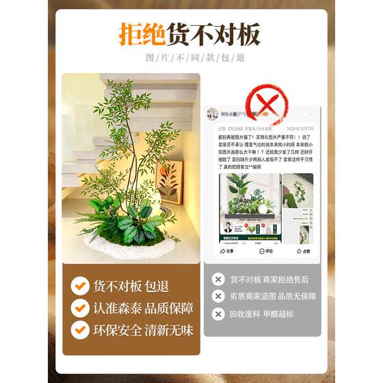 Sentai simulated green plants for indoor under-stairs decoration