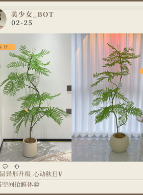 【买】绿植高级感客厅仿真蓝花楹