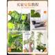 Sentai simulated green plants for indoor under-stairs decoration