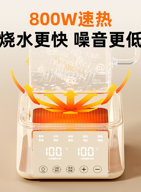 办公室小型全玻璃炖煮一体养生壶