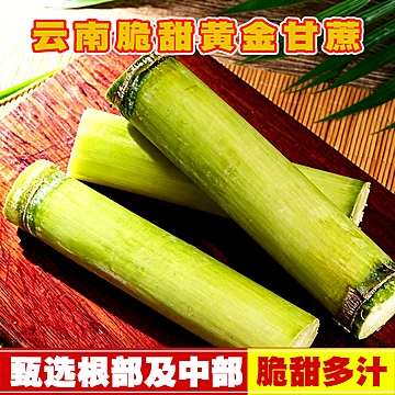 正宗云南当季新鲜带皮黄金脆皮甘蔗【5斤】[5元优惠券]-寻折猪