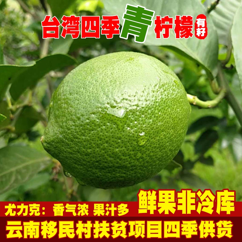 新鲜云南青柠檬水果小青柠香水一点点薄皮奶茶【二级果花皮偏黄】