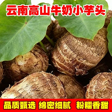 云南毛芋头牛奶芋头新鲜现挖现发[5元优惠券]-寻折猪