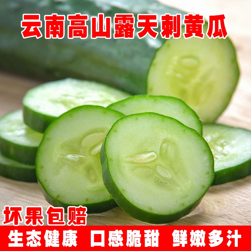 正宗新鲜带刺长黄瓜云南露天即食水果王瓜清脆当季蔬菜胡刺瓜批发