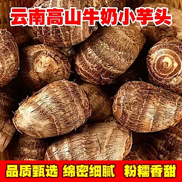 淘金币！三斤云南高山牛奶毛芋[5元优惠券]-寻折猪