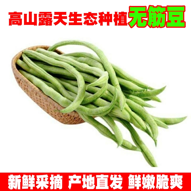 【无筋豆】云南四季豆角无筋豆王芸豆新鲜蔬菜嫩豆扁豆无茎豆包邮