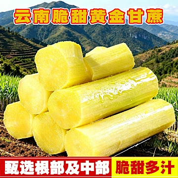 正宗云南黄金脆皮甘蔗5斤[5元优惠券]-寻折猪