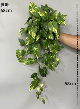 绿萝客厅挂墙绿植壁挂植物装饰垂吊假花藤条室内藤蔓吊兰吊篮
