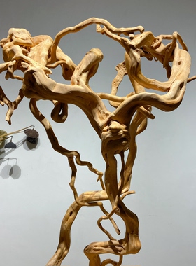 杜鹃树根木雕根雕摆件天然风化木枯木禅意玄关家居客厅挂串树枝