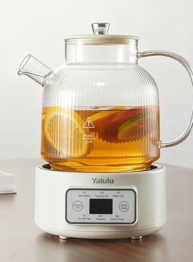 110V养生壶小容量煮茶器出口美国
