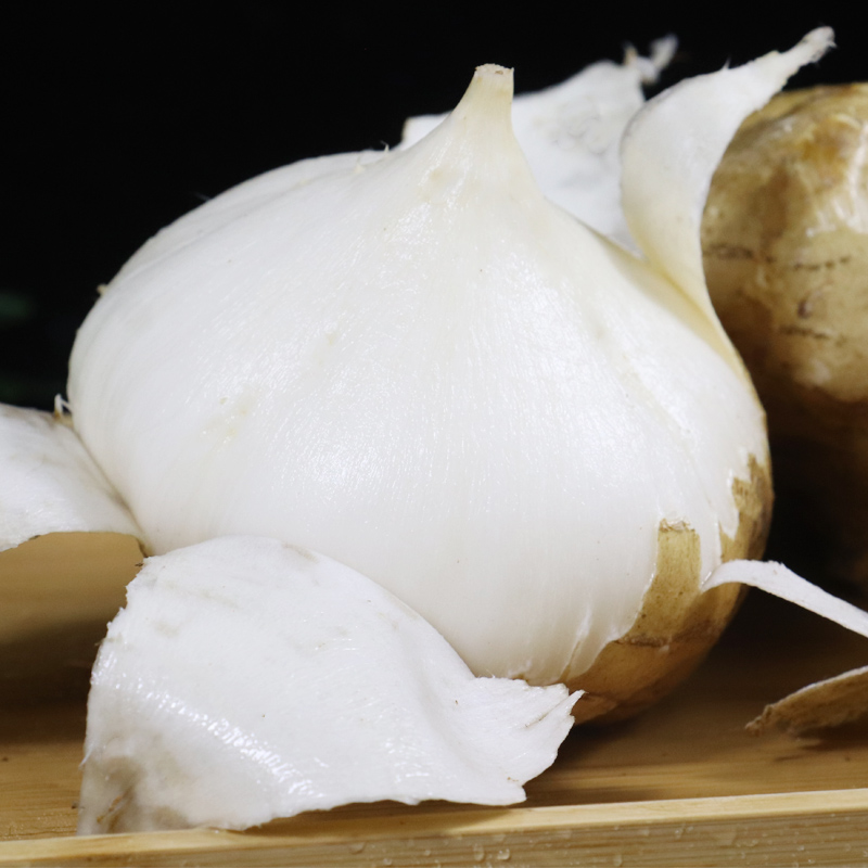 广西新鲜现挖凉薯带箱10斤白地瓜 恬小鲜番薯