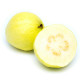 SF Escort Soft and Sweet Creamy Golden Guava