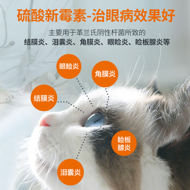 普安特猫鼻支治疗药赖氨酸猫咪眼药水滴眼液消炎打喷嚏鼻涕流眼泪 - 图3