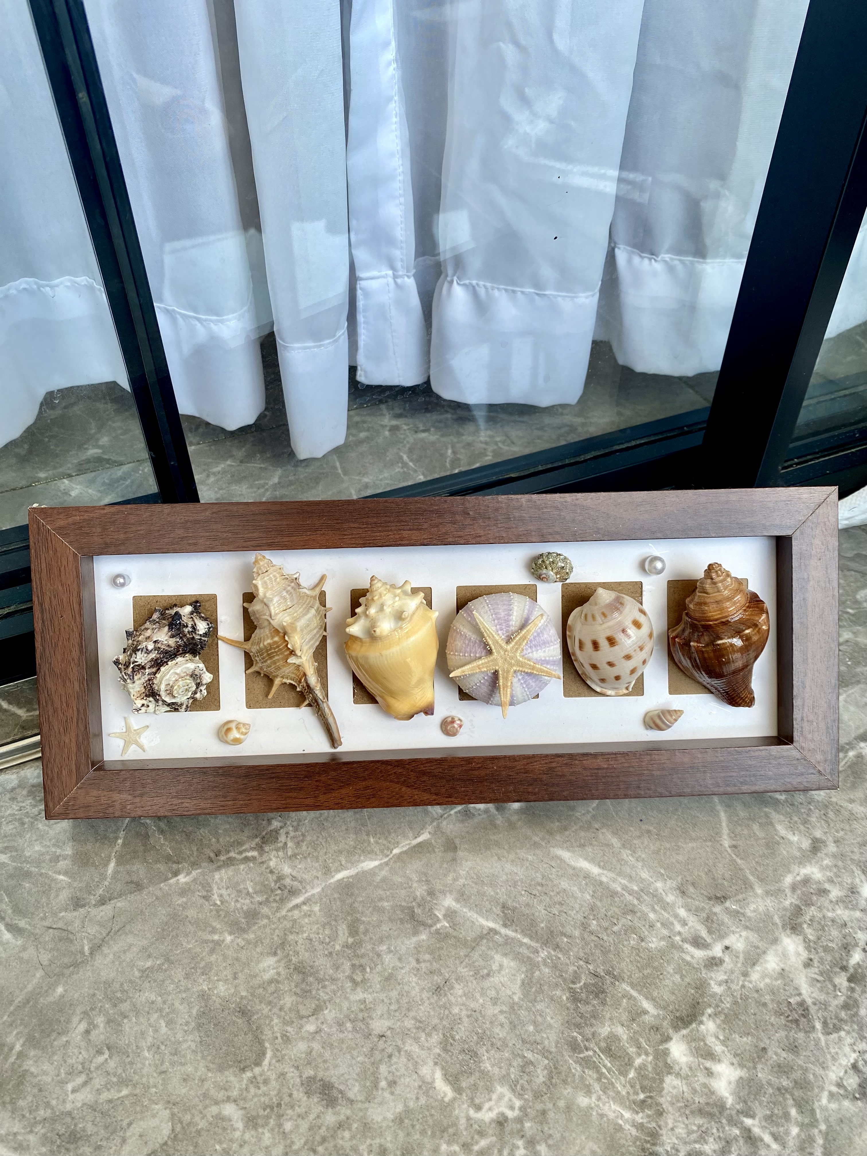 海南三亚复古海洋天然海胆海螺贝壳标本创意桌面摆件节日生日礼物,淘宝优惠券,粉丝福利购,淘宝优惠卷