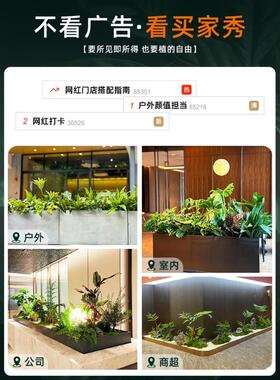 彷真绿植苔藓造景植物室内小景观组合青苔摆件楼梯下彷生假花布置