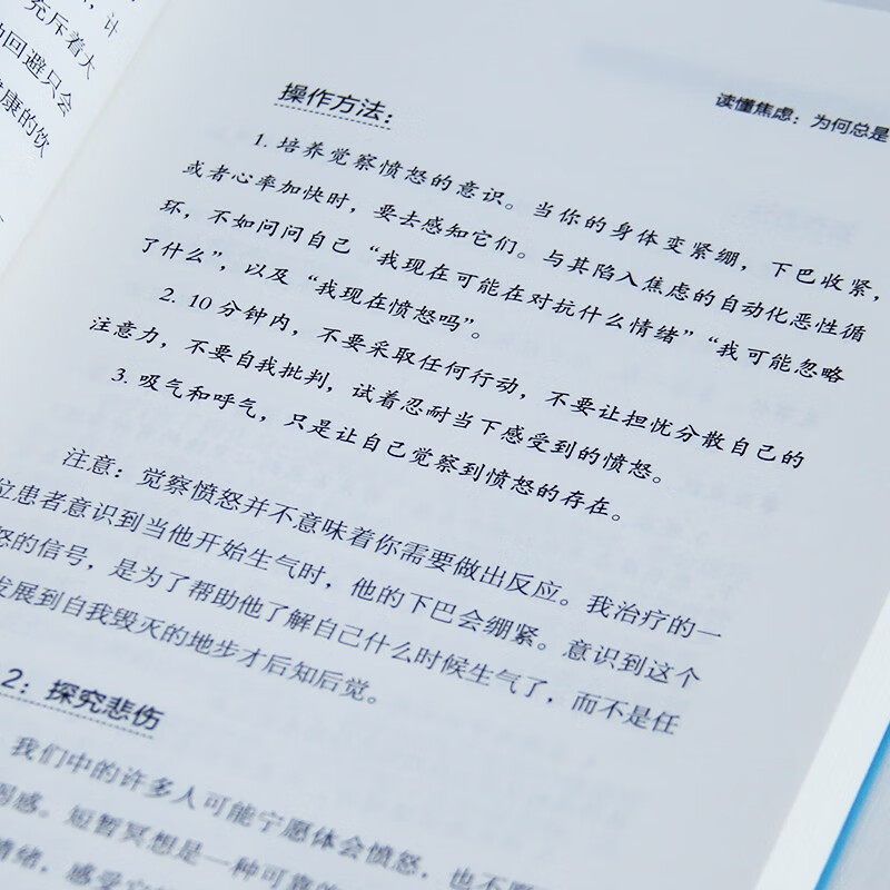 冷静冷静:如何彻底解决内心的焦虑 焦虑心理学书籍 压力管理 人生没有什么不可放下