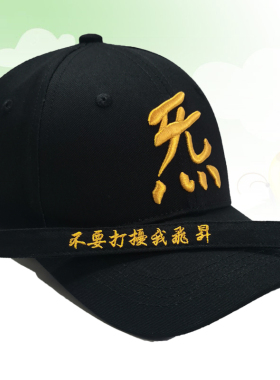 立体刺绣炁敕令棒球帽