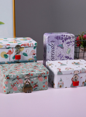 小清新收纳盒铁盒可爱密码锁盒子桌面零钱化妆品小箱子带锁储物箱