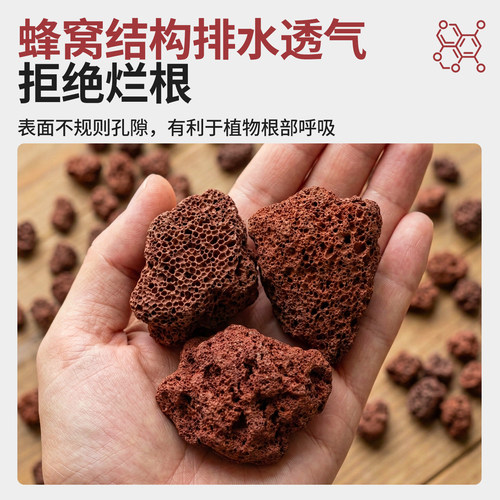 园艺铺面兰花多肉专用造景垫底古法养鱼材料大块过滤石火山岩颗粒 - 图2