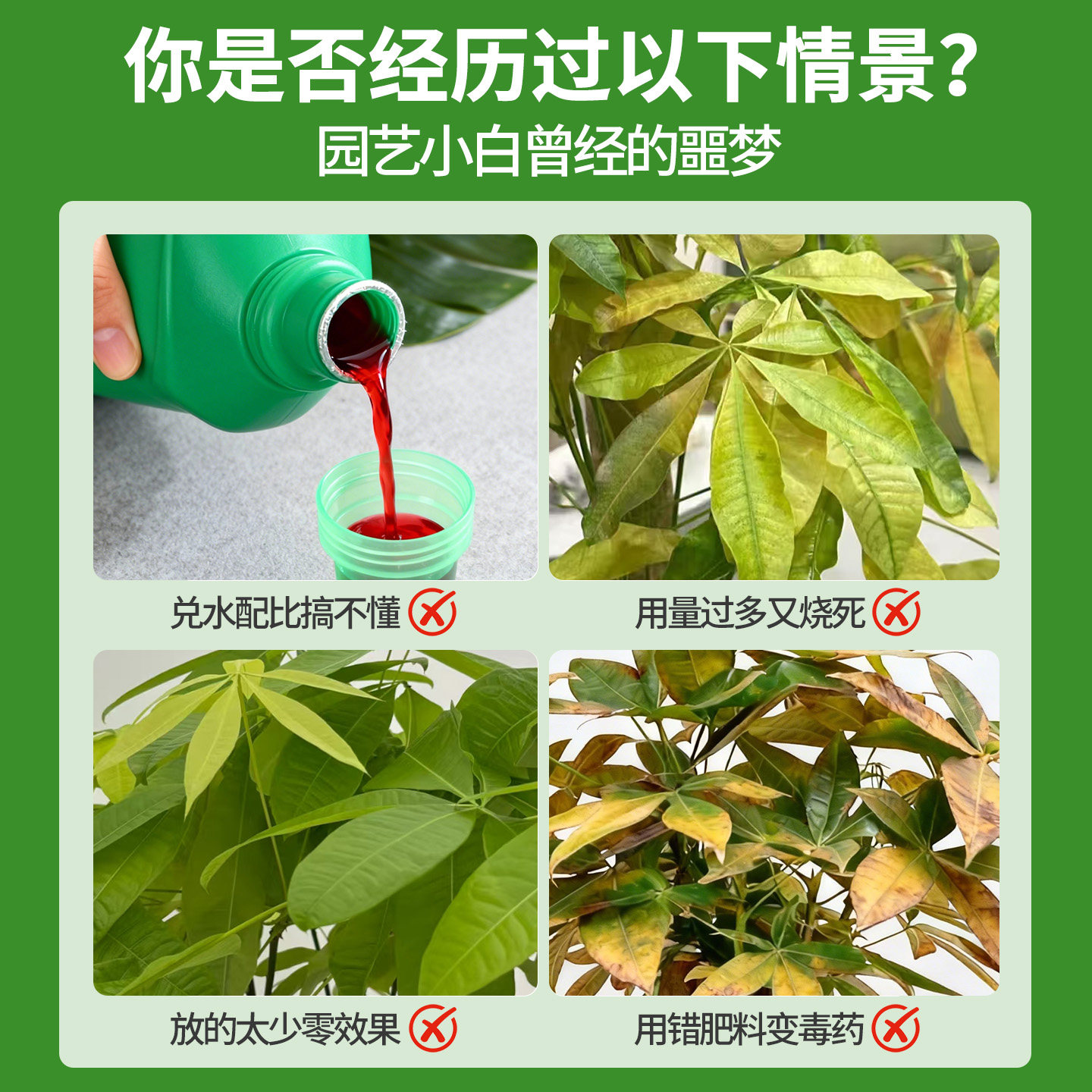 发财树专用营养液免稀释黄叶枯叶烂根肥料专用肥盆栽室内叶面肥,淘宝优惠券,粉丝福利购,淘宝优惠卷