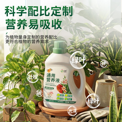 营养液植物通用型花肥家用盆栽发财树富贵竹绿萝多肉花卉绿植肥料 - 图2