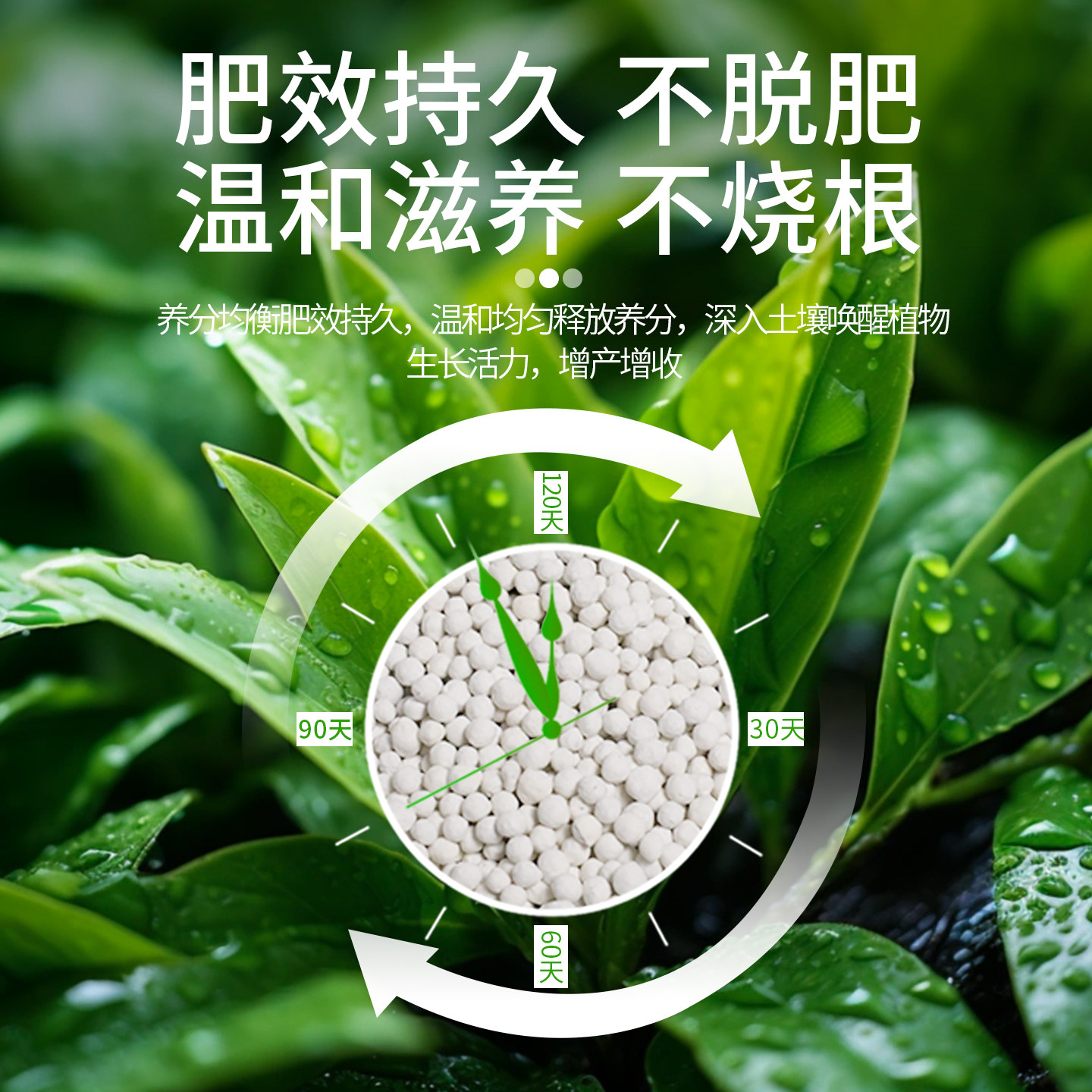 复合肥蔬菜农用种菜养花肥专用正品三元复合肥通用氮磷钾有机肥料,淘宝优惠券,粉丝福利购,淘宝优惠卷