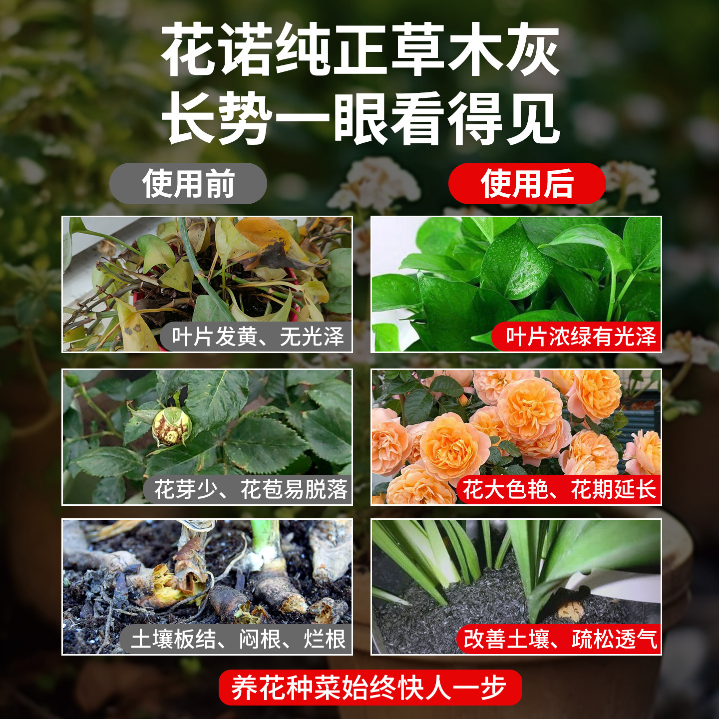 草木灰种菜用植物通用稻壳炭土壤有机钾肥花肥底料花卉果蔬通用型,淘宝优惠券,粉丝福利购,淘宝优惠卷