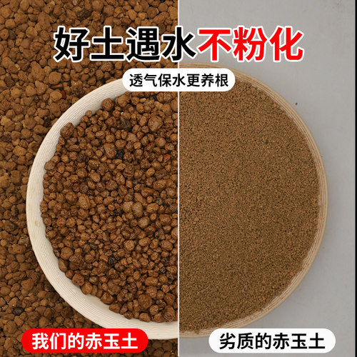 赤玉土三本线日本进口正品多肉颗粒土盆景专用爬宠铺面硬质营养土 - 图0