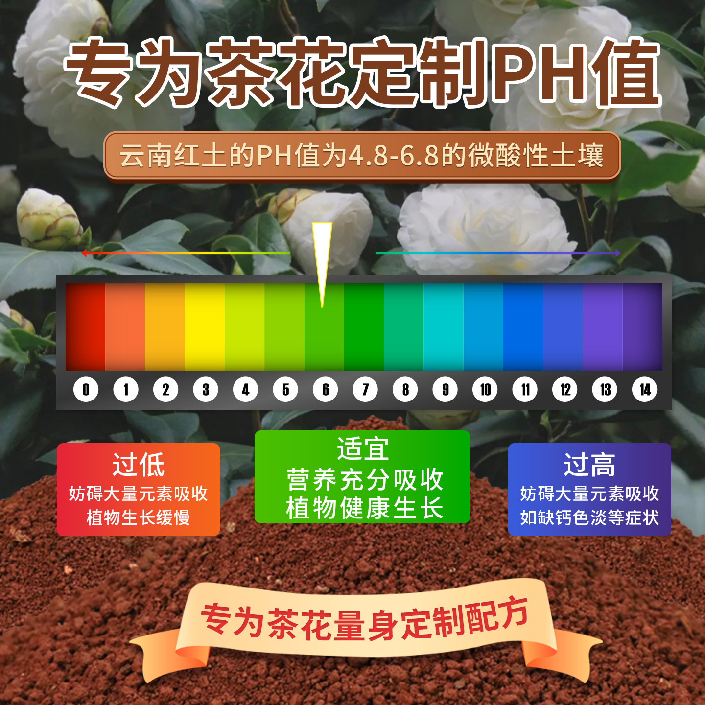 茶花专用土营养土喜酸植物通用家用盆栽种花有机花泥山茶花专用土,淘宝优惠券,粉丝福利购,淘宝优惠卷