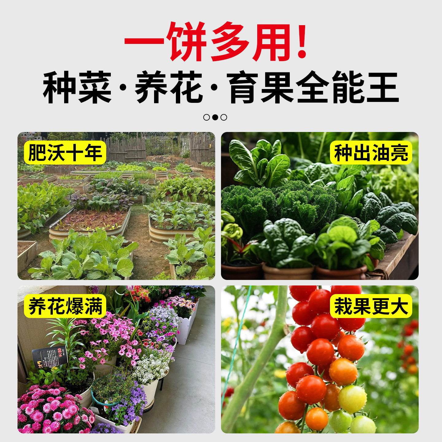 菜籽饼肥料油枯发酵有机肥种菜老式新鲜榨油大块油饼钓鱼打窝菜饼,淘宝优惠券,粉丝福利购,淘宝优惠卷