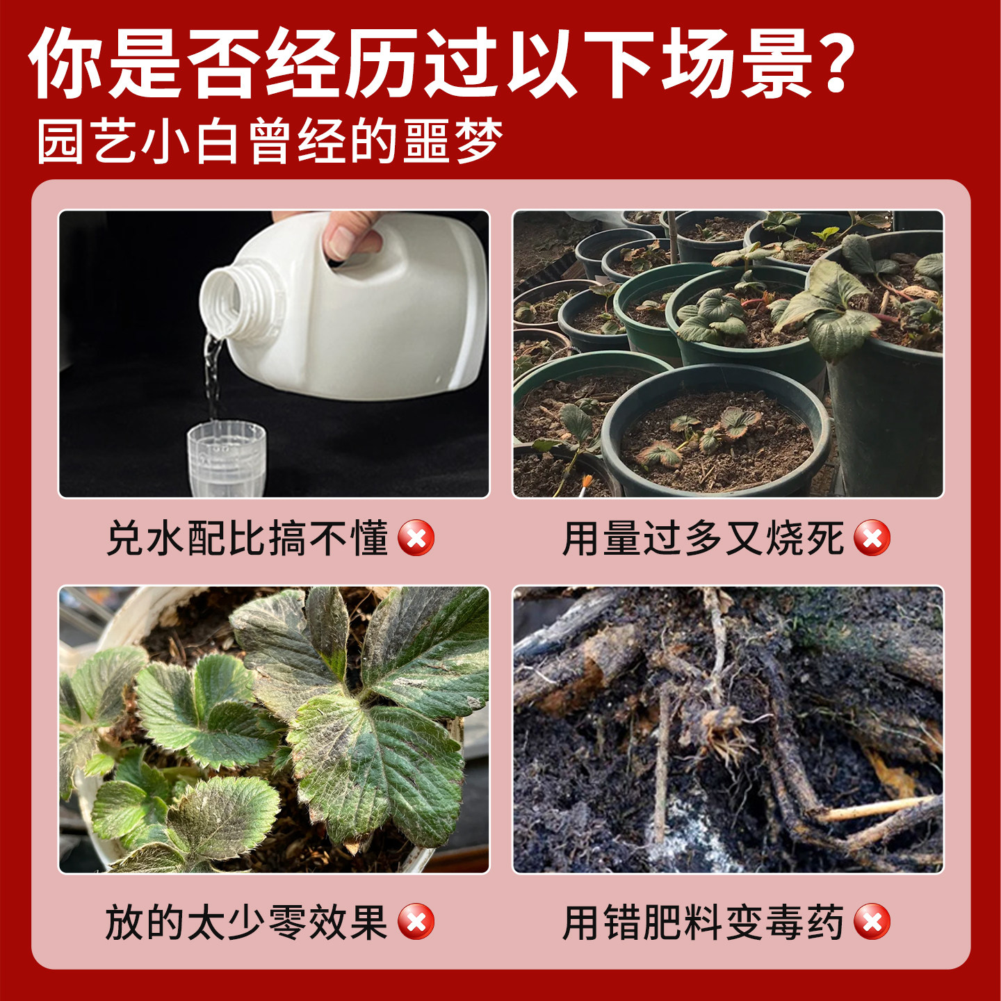 免稀释草莓营养液家用阳台盆栽种植草莓有机专用肥料催花促果增甜,淘宝优惠券,粉丝福利购,淘宝优惠卷