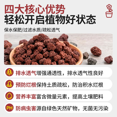 园艺铺面兰花多肉专用造景垫底古法养鱼材料大块过滤石火山岩颗粒 - 图0
