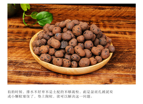 陶粒养花专用垫底花卉多肉兰花盆栽水培回填铺面防烂根透气轻质球 - 图3