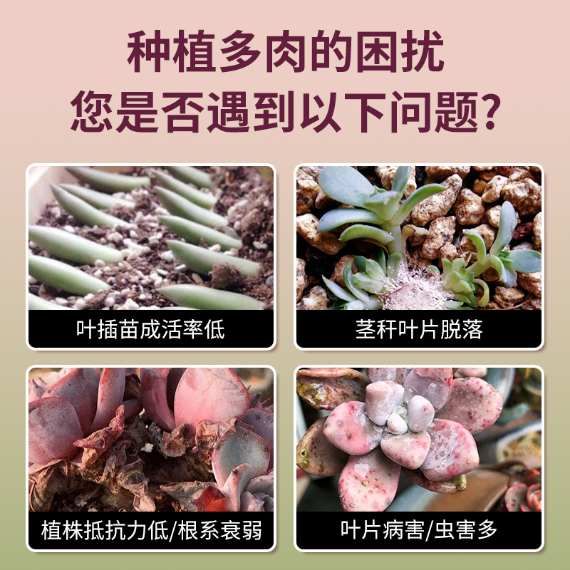 多肉营养液专用肥营养肥料多肉植物生根增肥增色水溶肥通用型花肥 - 图0