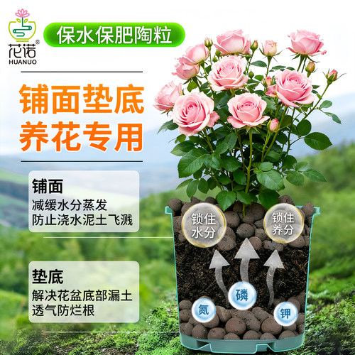 陶粒垫底养花专用花盆铺面陶粒水培植物透气防烂根专用轻质陶粒土 - 图0