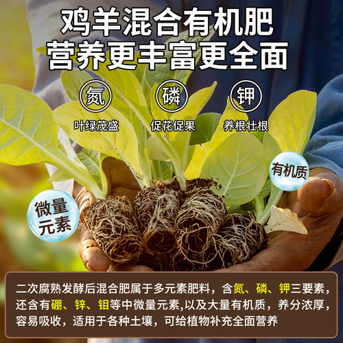 羊粪发酵有机肥料鸡粪肥农家肥蔬菜专用花卉绿植专用100斤种菜肥 - 图1