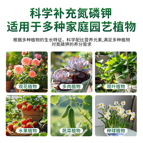 营养液植物通用型花肥家用盆栽发财树富贵竹绿萝多肉花卉绿植肥料 - 图1