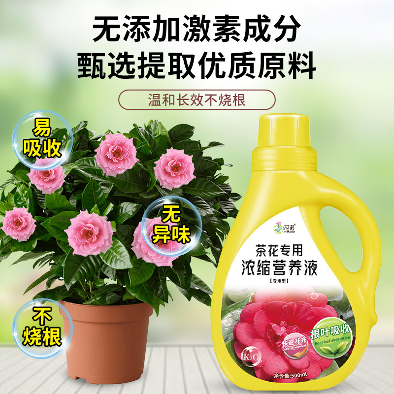 茶花专用营养液山茶花肥料专用肥催花开花液体肥酸性植物营养液,淘宝优惠券,粉丝福利购,淘宝优惠卷