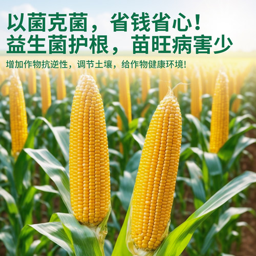 微生物菌剂枯草芽孢菌杆菌农用水产养殖哈茨木霉花卉绿植通用菌肥 - 图0