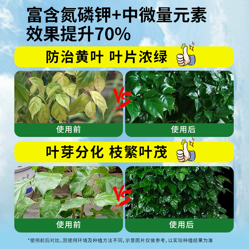 幸福树专用肥料营养液盆栽水培植物室内绿植通用氮磷钾液体水溶肥 - 图1