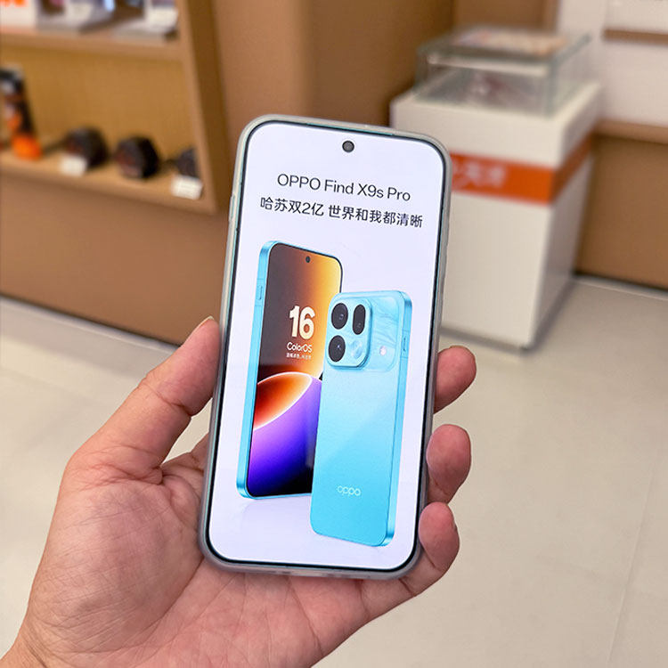 图 3